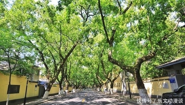 民国政府|南京的夏天随处可见“爱情隧道”，众多民国建筑，仿佛回到了民国