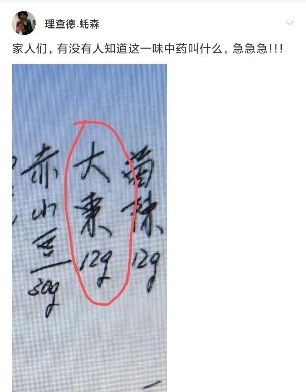 |沙雕段子:吃了止痛药再去打架,是不是就会变成没有感情的打架机器?