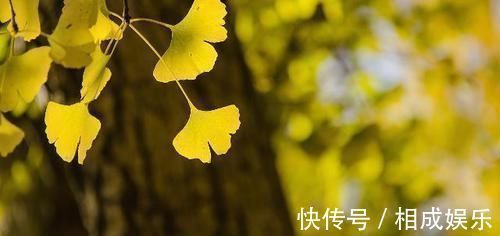 患上甲状腺结节|甲状腺结节有“三怕”,每天换着吃,甲状腺也会“笑开颜”