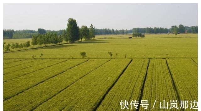 补偿|旧土地管理法实施期间征地标准低:应给予补偿