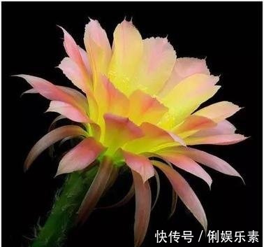 桂圆|“大姨妈”出现3个信号,可能是快绝经了,别当成妇科疾病