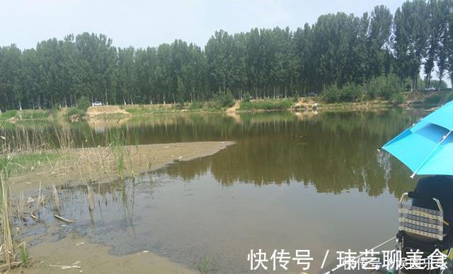 钓友|钓到鱼的好办法并非全靠钓具,而是靠“套路”
