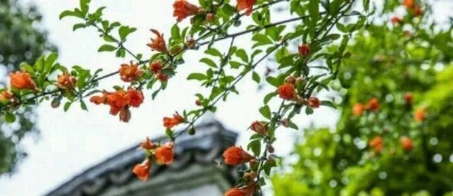 拯救|在闻鸡起舞之后的故事夺取河中失地,一首歌胡笳拯救孤立的城市