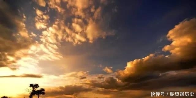 桃花|烟雨夜读 万树桃花月满天