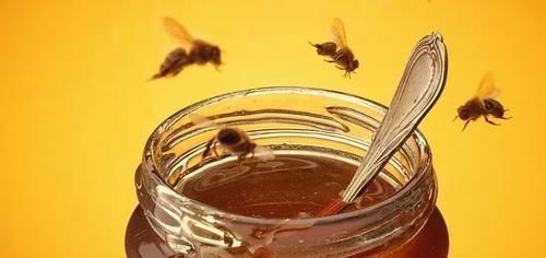 食物|便秘拉不出来太难受？试试多吃6种食物，润肠通便，排便变顺畅