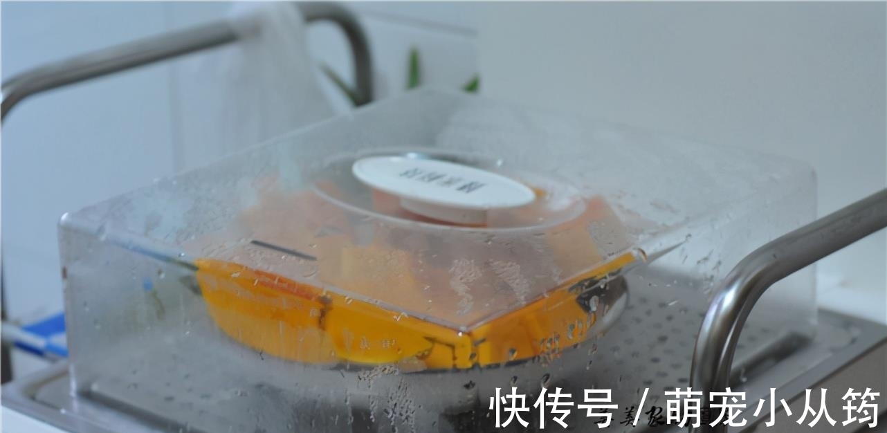 端午|端午前后,三个食材,做一道美食,孩子多吃,夏天少生病!