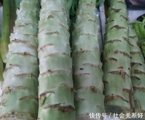 菜贩子|买莴笋,挑大根还是小根的好?菜贩子不经意说漏嘴,涨知识了!