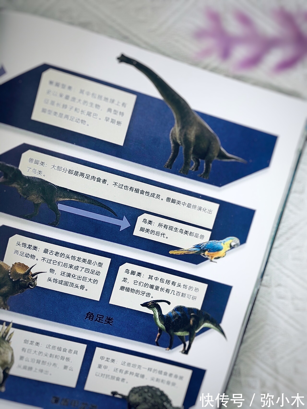恐龙世界|孩子想科学了解恐龙知识？童书太多，无法选择？选这本童书准没错