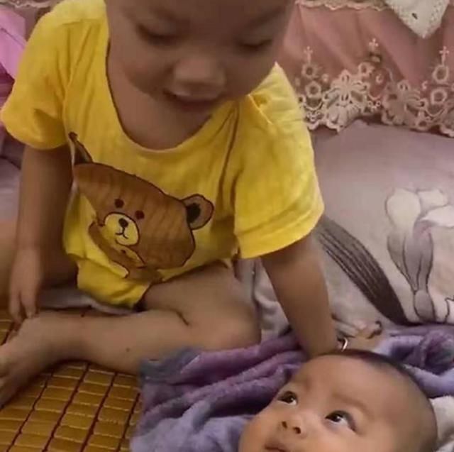 弟弟|3个月弟弟被1岁多的哥哥这样哄，网友直呼这是什么神仙兄弟情