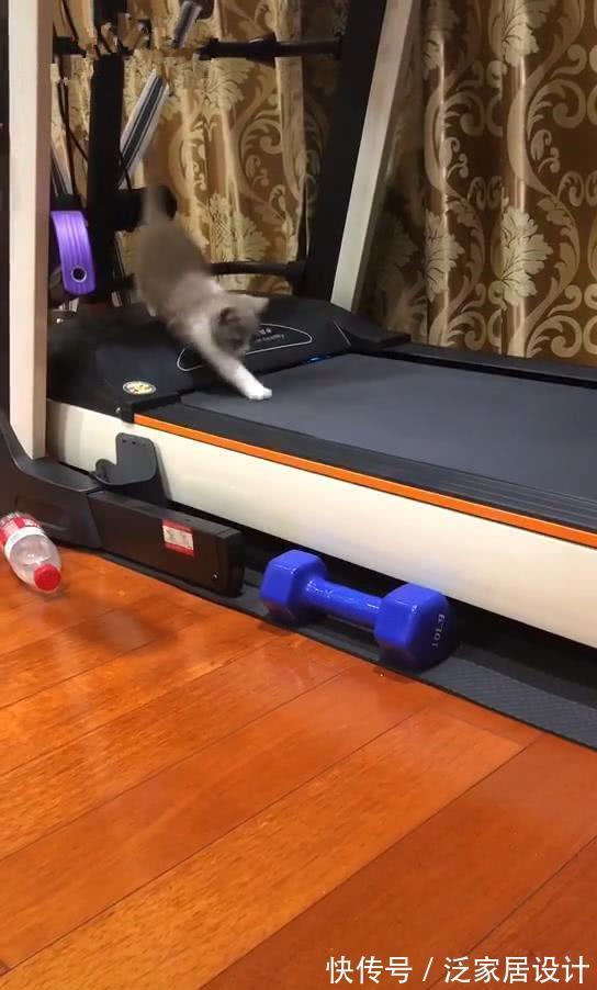 面条|闲置率极高的4件家居用品，都是失败的教训，不要再跟风买了