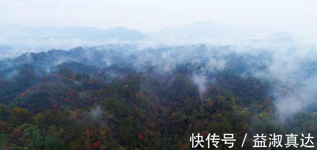 刘敞$宋朝诗人刘敞一首很美的咏雨诗,每一句都如诗如画,值得我们一读