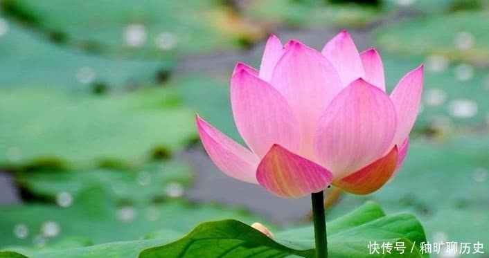 《易经》六十四卦由阴阳爻组成,读《易经》需要先理解“阴阳”