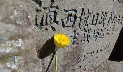 阵亡|惨烈的松山战役，灭一个日军有7个官兵阵亡