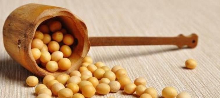 雌性激素|女性的“天然雌激素”,能改善皮肤衰老,延缓更年期,越吃越年轻