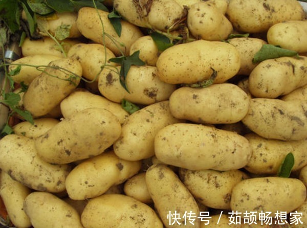 通风处|家里的土豆放久了就长芽了教你3招,久放也不长芽不变色