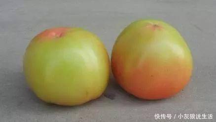 黄樟素|饭桌上不要出现这4种蔬菜,一个比一个伤肝!医生都不吃!