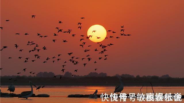 苍蝇|12个冷知识：或许看起来丝丝反智，但却真实存在着的奇怪知识