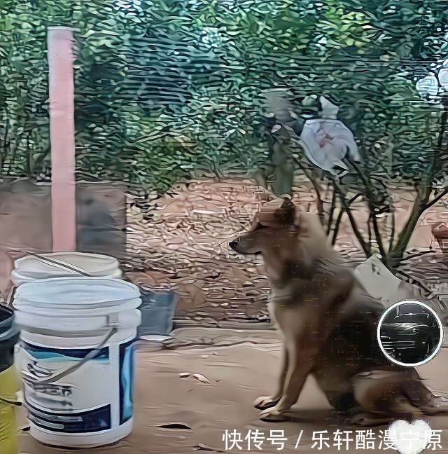 高水平|晚上好好吃一顿!全红婵哥哥把鱼收拾好,全妈全爸在一旁悠闲等待