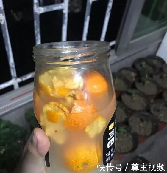 四种养花水真不错,养分高能养花,还能避免蚊虫困扰!