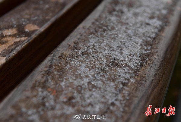 早上|早上的积雪你看到了吗？｜图集