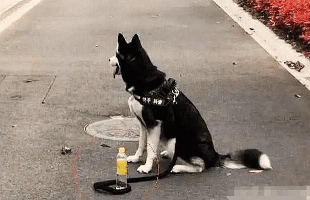 熊孩子|“把孩子送到老家住了一周,再次见面时都不敢认了,还能要吗?”哈哈哈