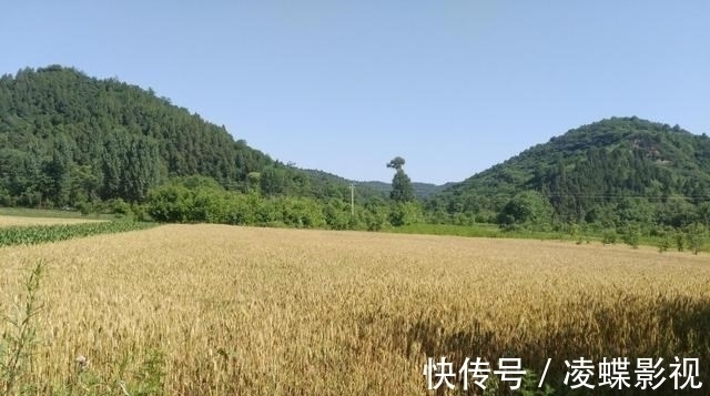 那个年代&莫言获奖后讲母亲捡麦穗的故事,却被质疑抹黑国家,此观点很可笑