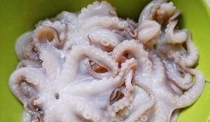 菜谱|家常海鲜菜谱,葱爆八爪鱼,脆嫰鲜美,美味营养,超下饭,吃不够