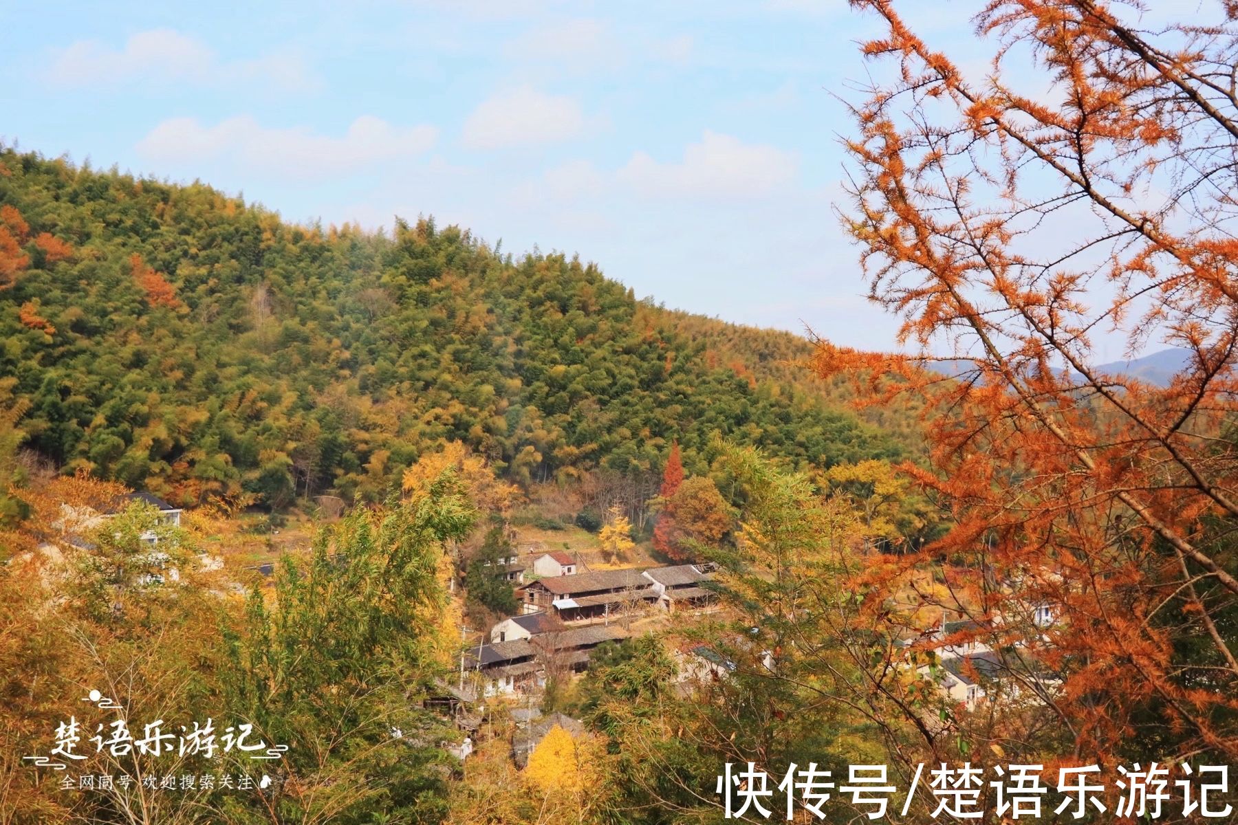 千年古村落|太震撼！四明山深处被人遗忘的千年古村落，满村银杏金黄美如童话