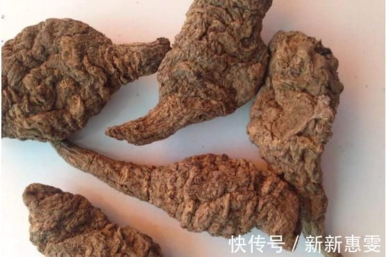 农民|根似人参,花朵很有趣,农民拿它酿酒,现远销海内外