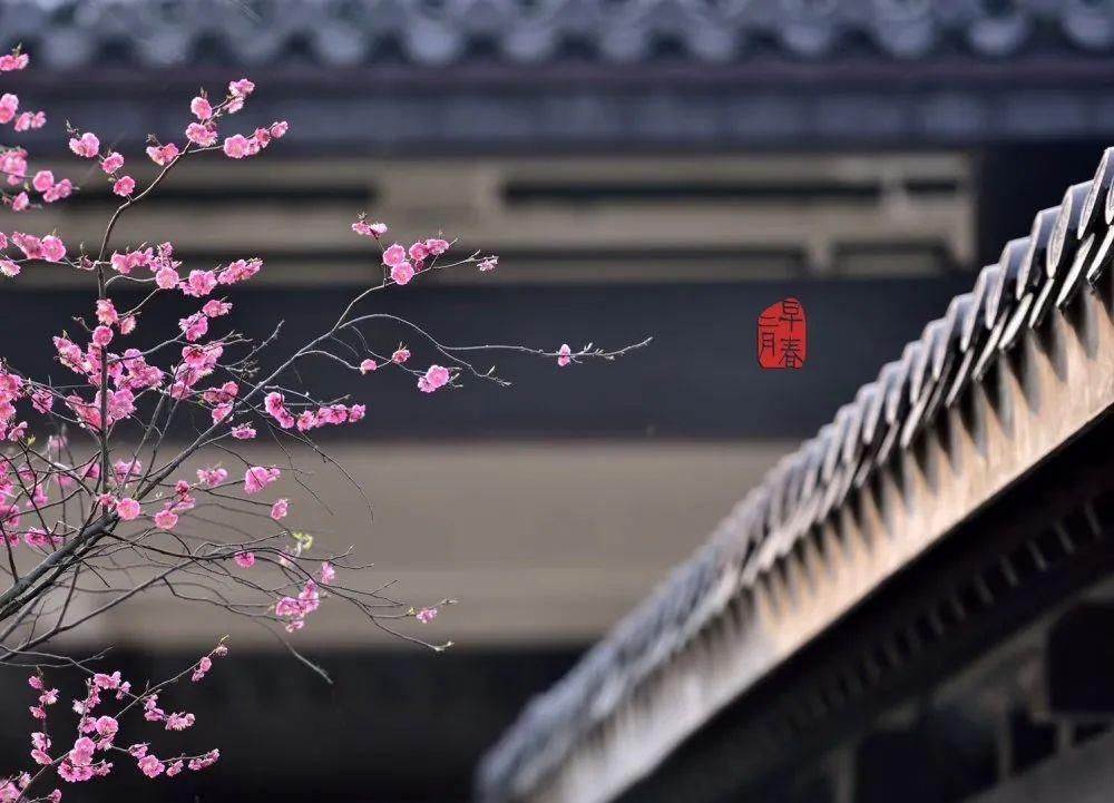 老年|春暖花开!阜城第一波春色来啦~