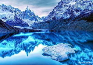 蓝脚鲣鸟|30个冷知识真实存在着，但却很少听说过的奇怪知识