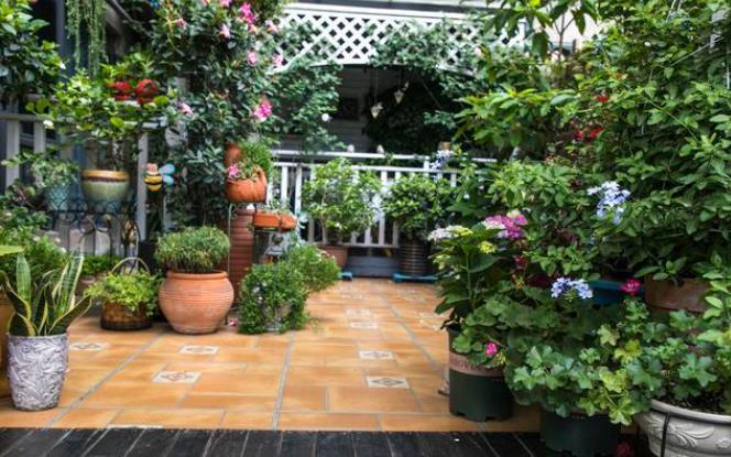 潮湿|住一楼带院子的户型,做好5件事,轻松赶走潮湿