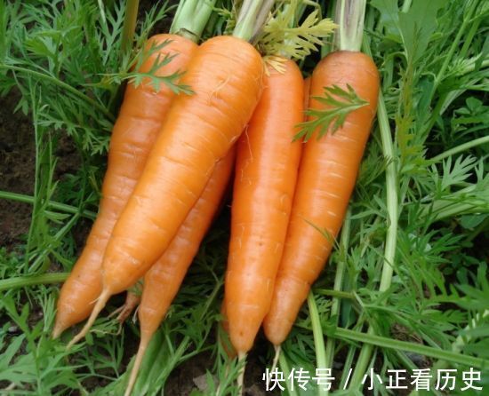 禁忌|让人倒下的不是病,而是无知!吃胡萝卜2大禁忌,大家来看下!