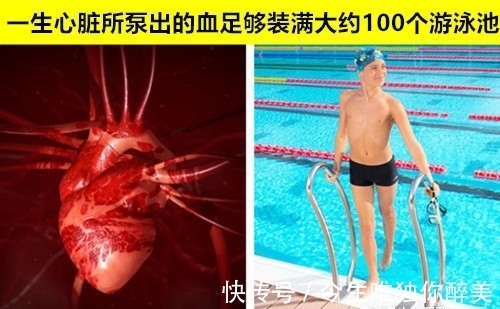 左撇子|即便“博学多识”的真学霸，也未必能知道的10个罕见事实