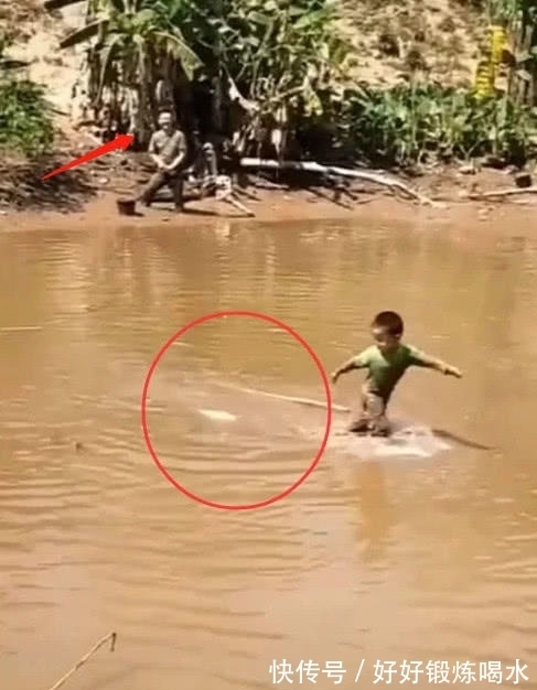 鱼塘|儿子在鱼塘捞鱼，眼看就要捞到了，随后发生的事情爸爸笑喷了