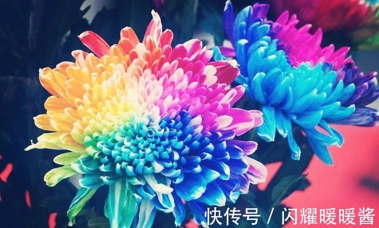 沁园春$七绝 读《道德经》偶得(外四首)