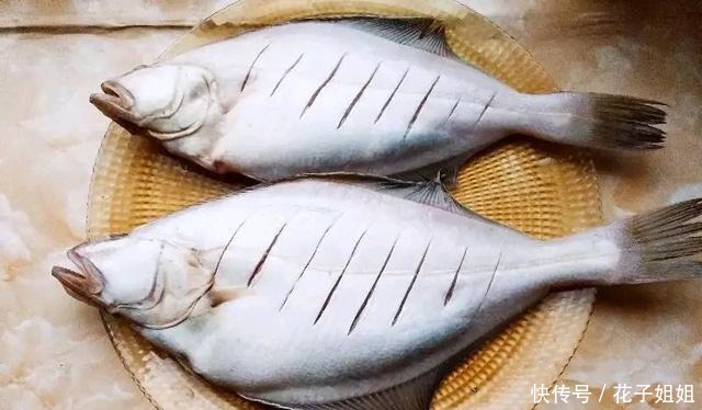 海鲜市场上比较便宜的8种海鱼,目前还无法养殖!看见了千万别错过