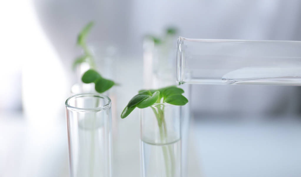 身体脂肪率|5个减肥小方法，能够有效控制身体脂肪率，让你瘦得更快