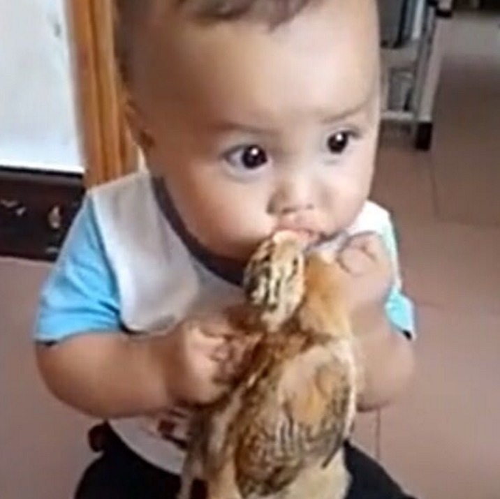 宝妈在卫生间洗衣服听到客厅有动静,出来看到宝宝行为,笑弯腰