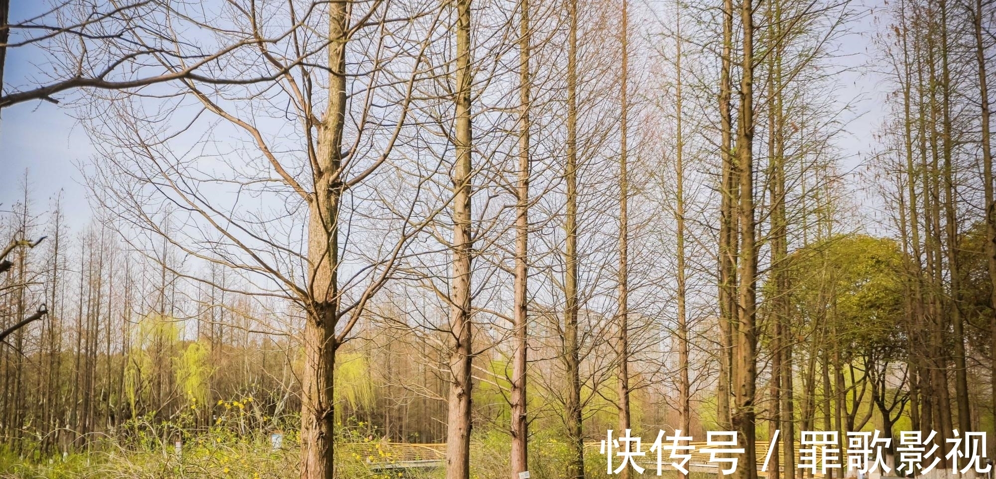 阅读|江苏有座特别的书房,建在暨阳湖畔,当地人来这看书听讲座全免费