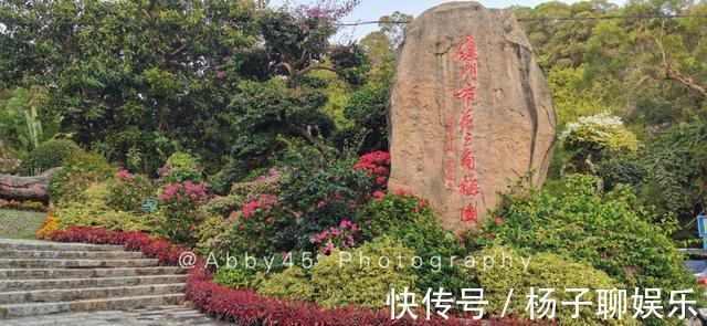 三角梅名字的由来