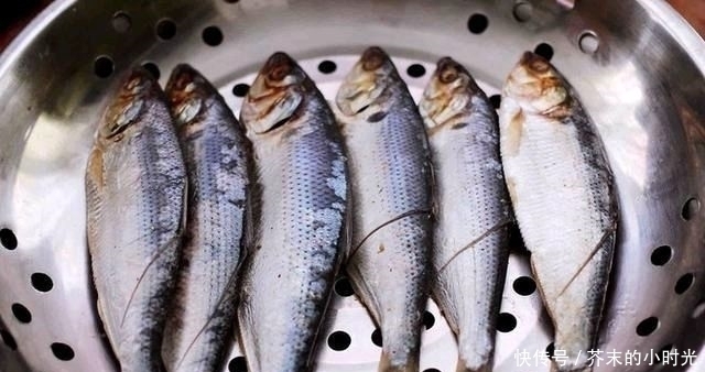 a23|它是被“误解”最多的鱼,一斤只要10元,营养价值不比甲鱼差