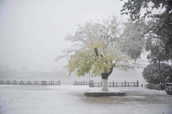 暴雪|当立冬与暴雪相逢，当秋天与冬天相遇