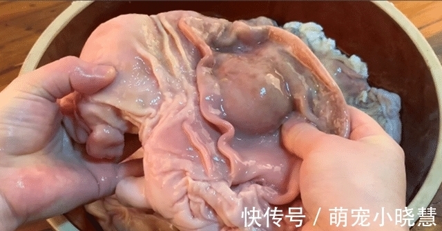 加盐|洗猪肚,加盐洗就错了,如此做,5分钟洗净,猪肚不腥不臊更入味