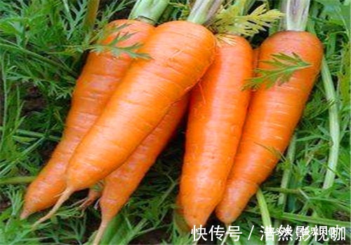 早衰|女性担心自己老太快,要坚持吃4种食物,清理毒素、预防子宫早衰