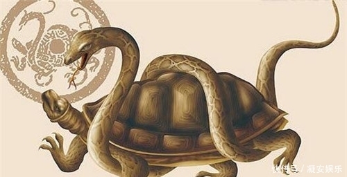  玄武|古人打完井后，为啥要丢俩乌龟下去？古人的智慧令现代人叹服