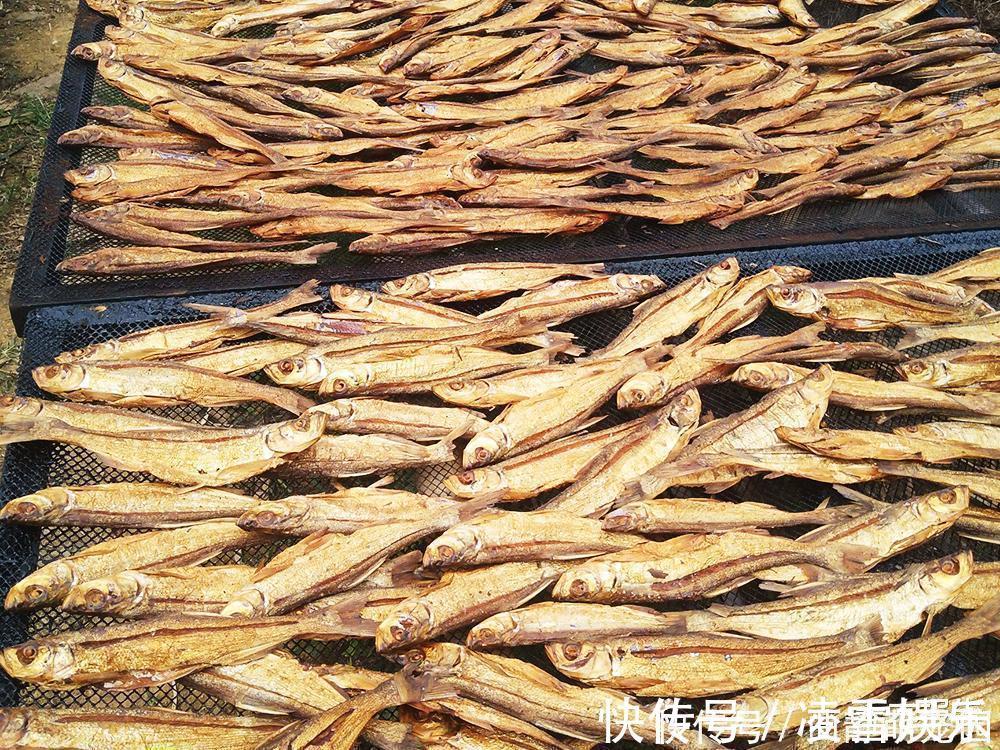 过去被称为“水中一害”,离水即死很难养活,如今晒干30元一斤