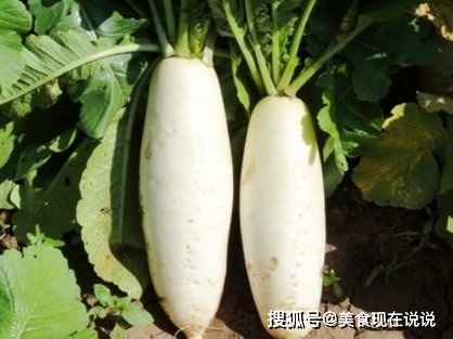 12个菜农不外传的买菜技巧，新鲜还便宜，老板一看就不敢忽悠你