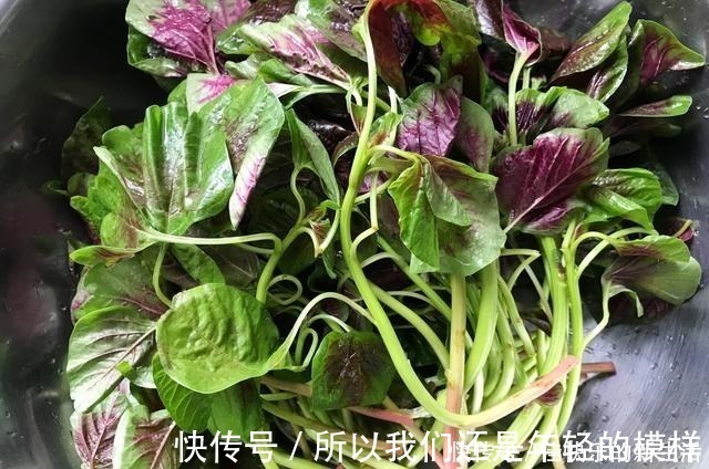 长寿菜|它是蔬菜中的瑰宝,民间称“长寿菜”,立秋后要常吃,错过等1年