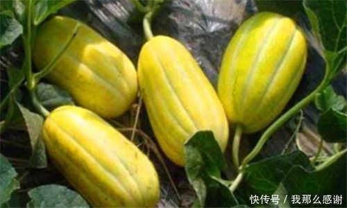 想长寿要会吃，多吃三种食物，排毒抗衰、润肤美容，早吃早
